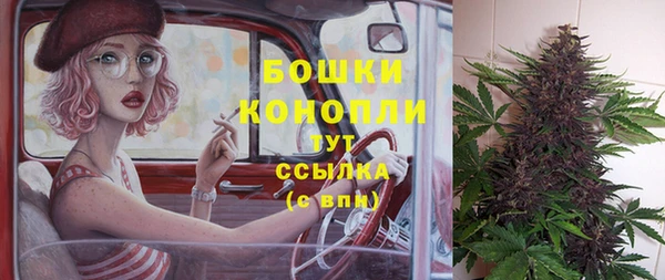 гидра Майский