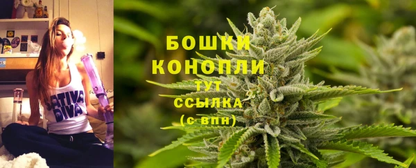 гидра Майский