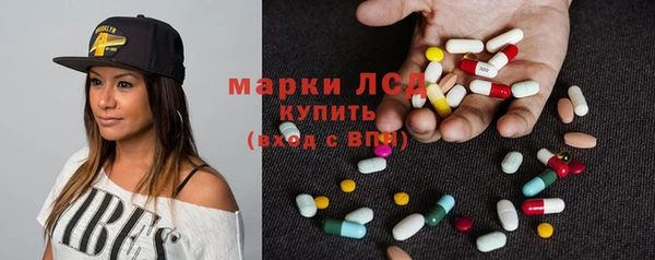 гидра Майский
