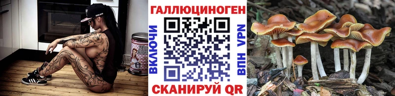 Галлюциногенные грибы мицелий  Фёдоровский 